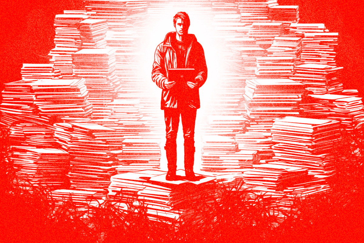 developer with books